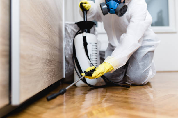Best Pest Removal Services  in Delphi, IN