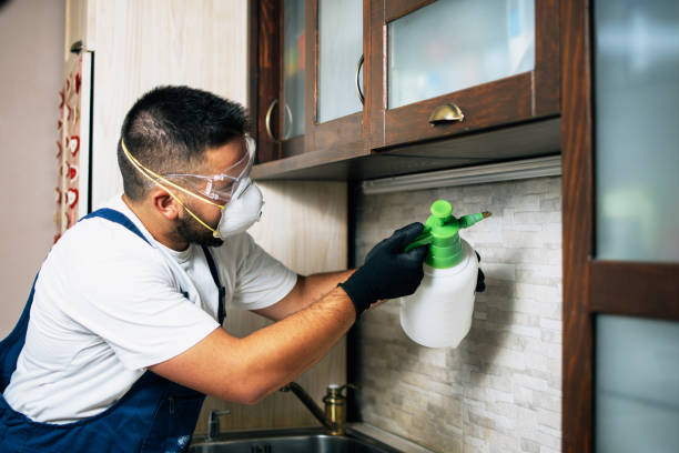 Best Flea Control Services  in Delphi, IN