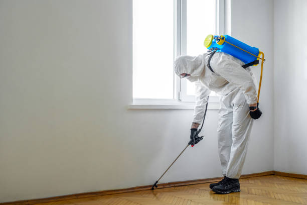 Best Insect Control  in Delphi, IN