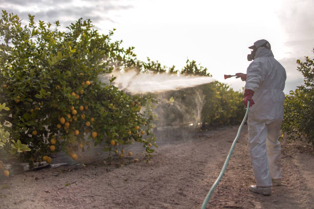 Best Pest Control for Businesses  in Delphi, IN