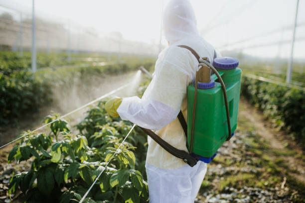 Best Insect Control  in Delphi, IN